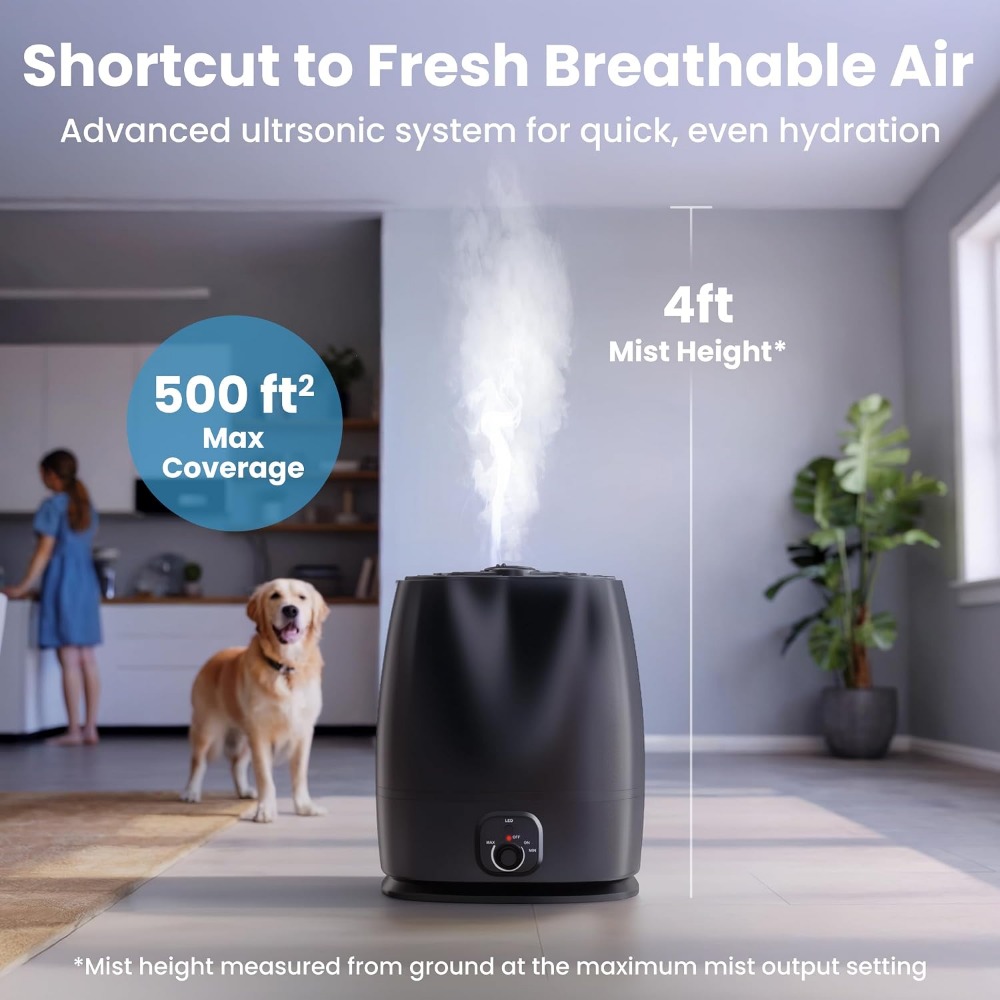 Umidificatore silenzioso da ca - Baby Nursery Humidifier recensione e prezzo